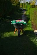 the soil on the garden wheelbarrow