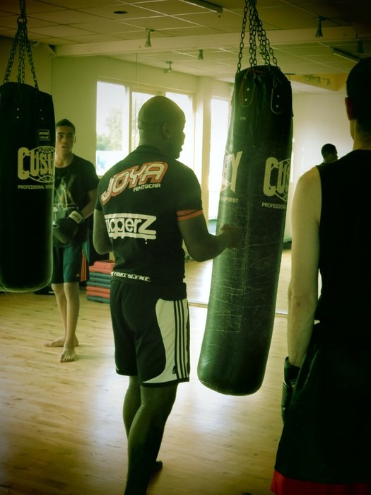 boxer in the gym near the pear
