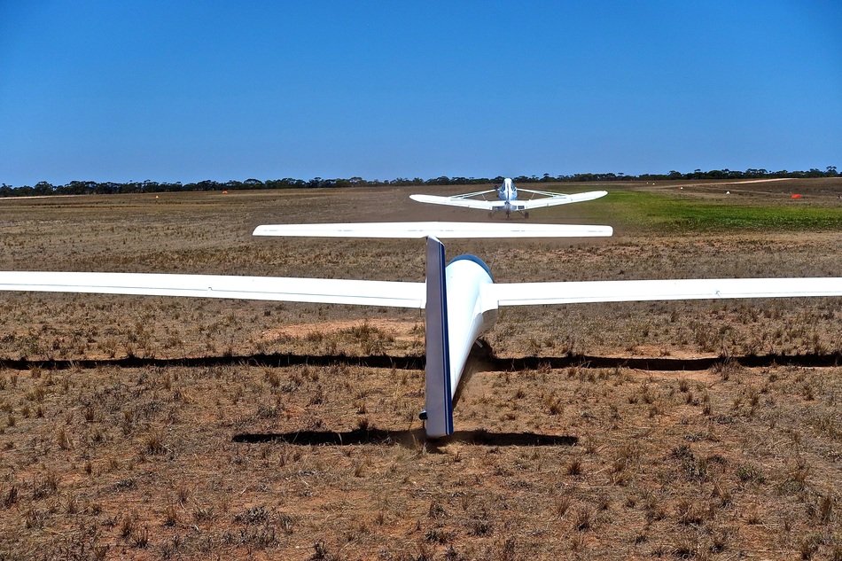 row of gliders on the field