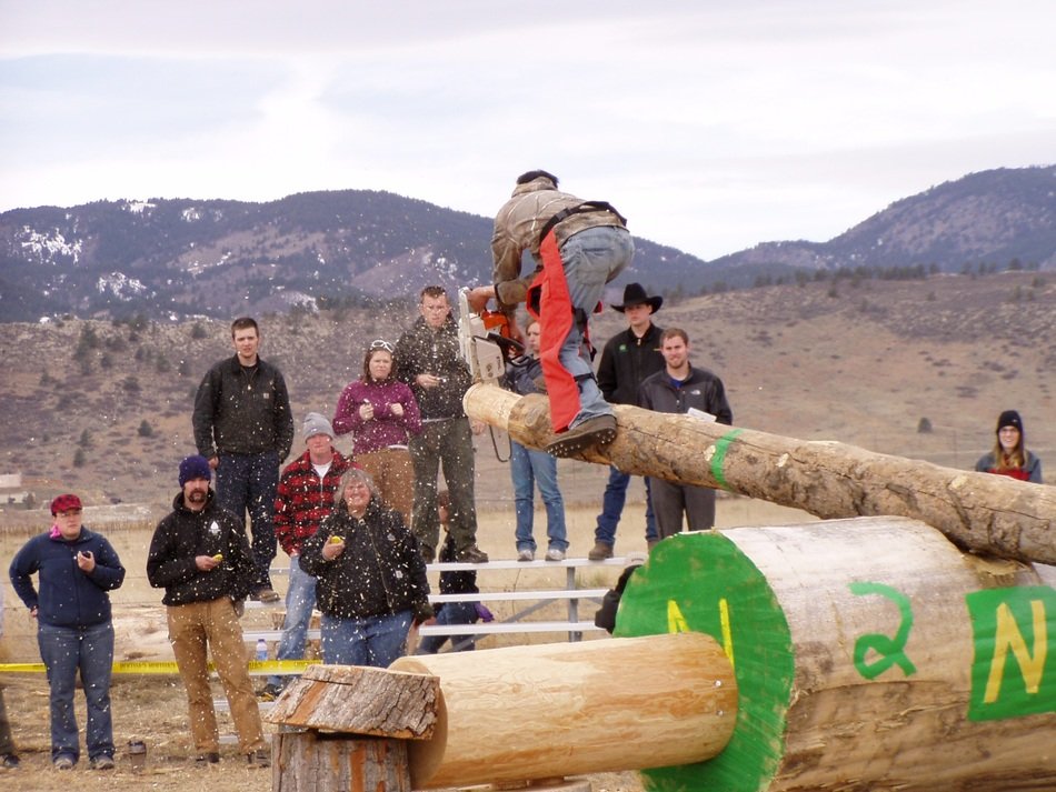 log sawing sport