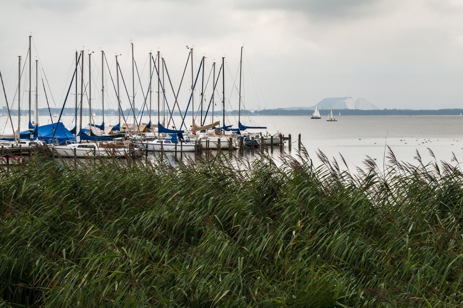 boats near the shore on a lake in the Steinhuder nature park
