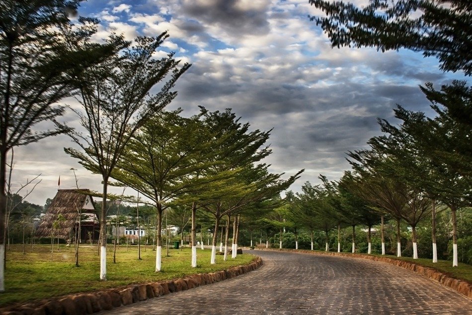 rural asphalt road along the park