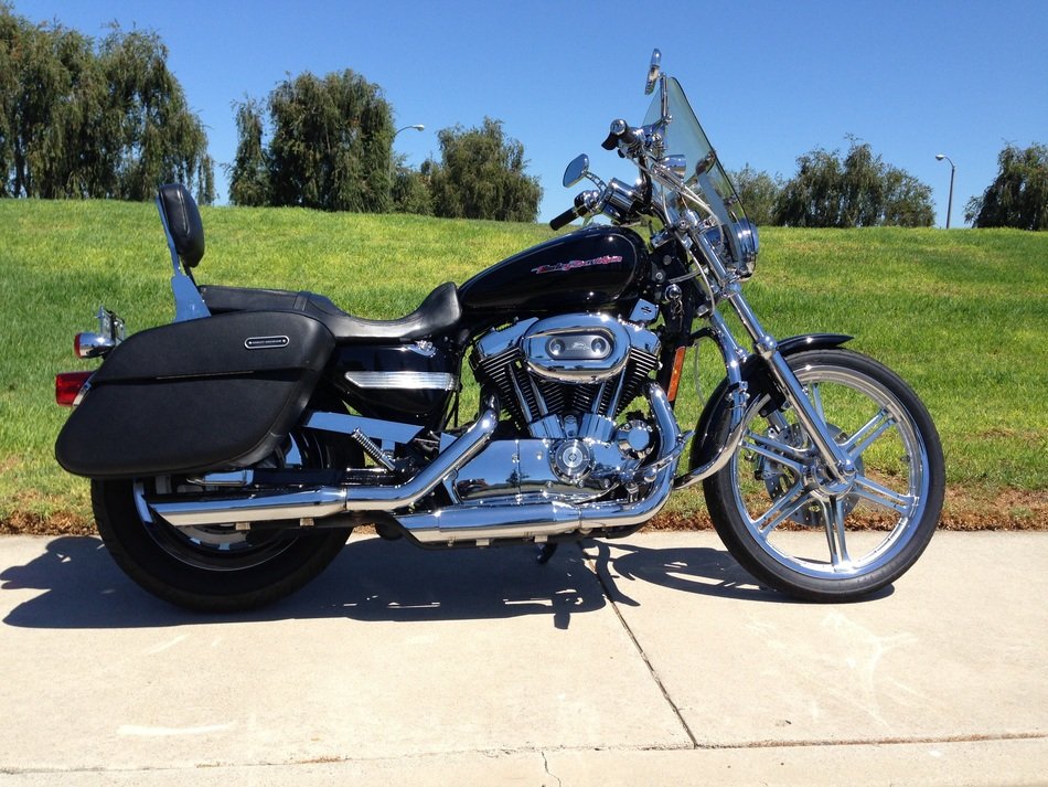 Harley Davidson motorcycle in the park with plants on background