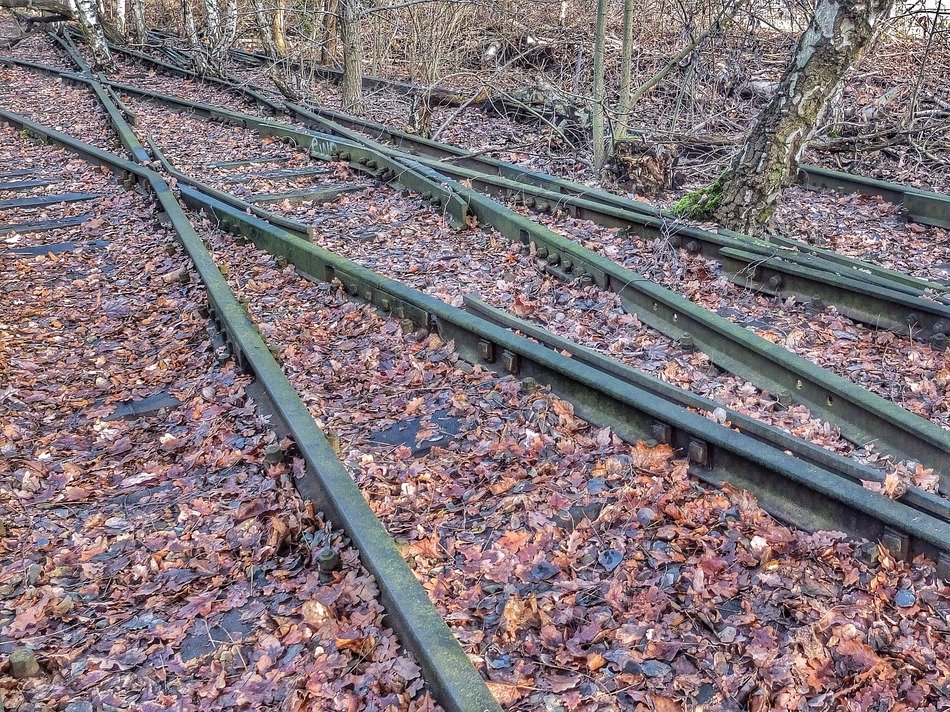 Leaves on the railway