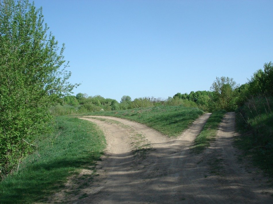 roads split fork