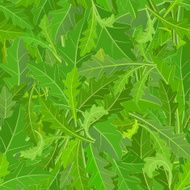 seamless texture of leaf arugula