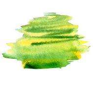 Watercolor vector image