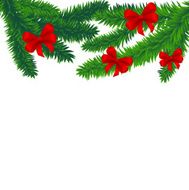 spruce branches N2