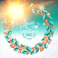 Christmas mistletoe wreath N2