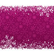 Christmas decoration frame N266