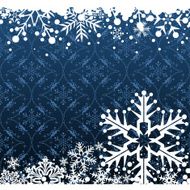 Christmas decoration frame N602