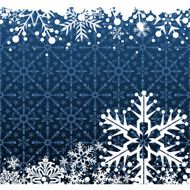 Christmas decoration frame N679