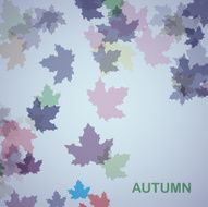 Autumn seasonal background N2