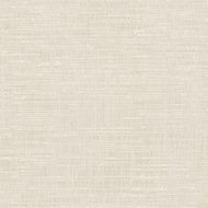 Paper texture background N13