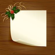 Holly berry and paper