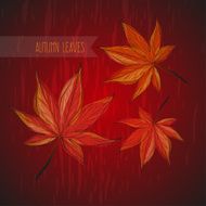 autumn leaves N130