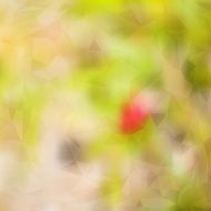 Modern Abstract Blurred Background with Transparent Triangles N3