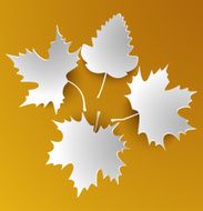 Autumn abstract white leaves