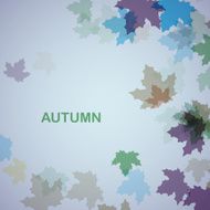 Autumn seasonal background N5