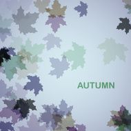Autumn seasonal background N6