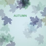Autumn seasonal background N7