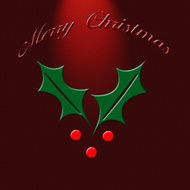 Merry Christmas N214