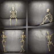 vector skeleton on the wall collection
