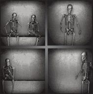 vector skeleton on the wall collection N2