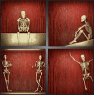 vector skeleton on the wall collection N3