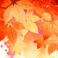 Autumn Vector Watercolor Fall Leaves N2
