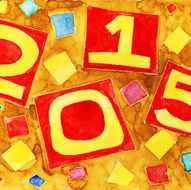 2015 N16