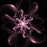 Beautiful contour flower on black background Computer generated