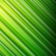 Abstract green background N56