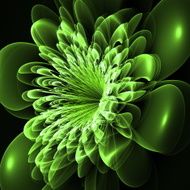 Beautiful green flower on black background Computer generated