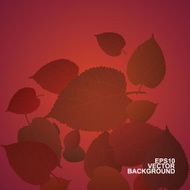 Colorful Autumn Leaves Background