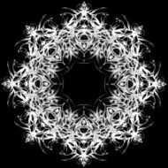 Mandala Decorative hand drawn lace pattern N8