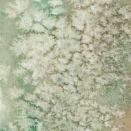 Pastel green with snowflake texture background