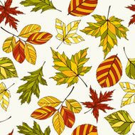 Vector autumn background with decorative colorful leaves