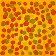 autumn alder background