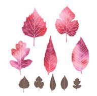 Set of watercolor leaves