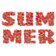 Summer lettering made of red paper flowers