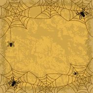 Spiders and cobwebs on wall background N2