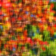 abstract green yellow and red texture N2