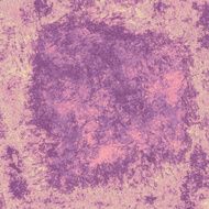 Pink and purple grunge texture N2