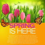 Beautiful Spring background N7