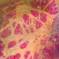 Textured bright background with silhoutted patterns N2