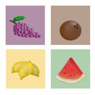 Fruits N31