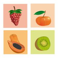 Fruits N32