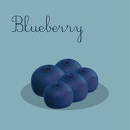 Fruits N33