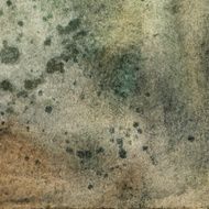 Dark grungy spotted background N6